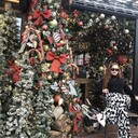 ���������� ���������, ���� ������� Anastasia, 23 ����, ������������ 