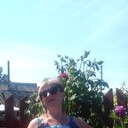 ���������� �������, ���� ������� �������, 50 ���, ������������ 