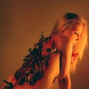 ���������� ������ ��������, ���� ������� ��������, 29 ���, ������������ ��� ������, ����� � ���������