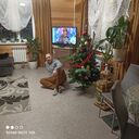  ,   , 38 ,   ,   , c 