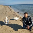 ���������� �����������, ���� ������� �������, 41 ���, ������������ ��� c�������� ���������