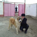  ,   Kamol, 37 ,   ,   , c , 