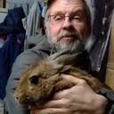 ���������� ��������, ���� ������� ����, 35 ���, ������������ ��� ������, ����� � ���������