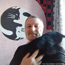  ,   , 61 ,  
