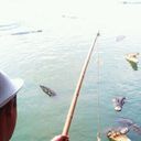 ���������� �����, ���� ������� ���������, 42 ����, ������������ ��� ������