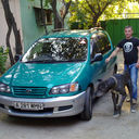 ���������� ������, ���� ������� �����, 41 ���, ������������ ��� ������, ����� � ���������, c�������� ���������