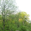 ���������� �����-���������, ���� ������� ������, 48 ���, ������������ ��� ������, ����� � ���������, c�������� ���������