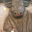 ���������� ������, ���� ������� Alpaslan, 45 ���, ������������ ��� ������, ����� � ���������