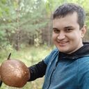 ���������� ������, ���� ������� ������, 36 ���, ������������ ��� ������, ����� � ���������, c�������� ���������