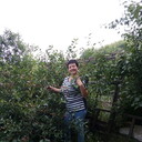  ,   , 50 ,   c 