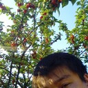 ���������� ����-���, ���� ������� Ը���, 32 ����, ������������ ��� ������, ����� � ���������, c�������� ���������