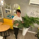  ,   , 38 ,     , c 