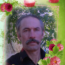 ���������� �������, ���� ������� ���������, 66 ���, ������������ ��� ������, ����� � ���������, c�������� ���������