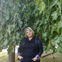  ,   , 53 ,  