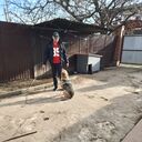 ���������� ������-��-����, ���� ������� ���������, 58 ���, ������������ ��� c�������� ���������