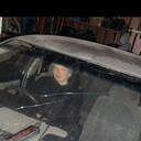 ���������� �����������, ���� ����� �������, 22 ����, ������������ ��� ������, ����� � ���������, c�������� ���������