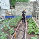 ���������� ����, ���� ������� Husik, 52 ����, ������������ ��� ������, ����� � ���������