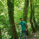  -,   , 35 ,   ,   