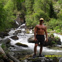  ,   Gartner, 53 ,   
