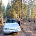 ���������� ������, ���� ������� �����, 36 ���, ������������ ��� ������, ����� � ���������, c�������� ���������