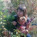   ,   , 52 ,   ,   