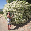 ���������� ���������, ���� ������� ������, 36 ���, ������������ ��� ������, ����� � ���������, c�������� ���������