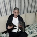 ���������� �����, ���� ������� �����, 41 ���, ������������ ��� ������, ����� � ���������, c�������� ���������