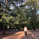 ���������� ���������, ���� ����� ������, 21 ���, ������������ ��� ���������