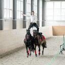 ���������� ������, ���� ������� ����, 31 ���, ������������ ��� ������, ����� � ���������