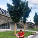 ���������� ������, ���� ������� Roma, 29 ���, ������������ ��� ����� � ���������, c�������� ���������