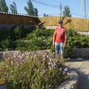  ,   , 47 ,   c 