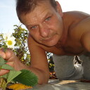   ,   Ted, 40 ,   ,   , c , 