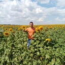 ���������� �������, ���� ������� �������, 38 ���, ������������ ��� ������, ����� � ���������