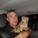  --,   , 49 ,     , c 