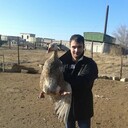 ���������� �����, ���� ������� �����, 38 ���, ������������ ��� ����� � ���������, c�������� ���������, ���������