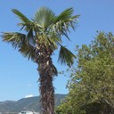 ���������� �������, ���� ������� ������, 52 ����, ������������ ��� ������, ����� � ���������, ���������