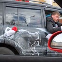 ���������� ������������, ���� ������� �������, 38 ���, ������������ ��� ������, ����� � ���������