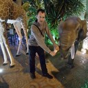 ���������� ������-��-����, ���� ������� Lexx, 38 ���, ������������ ��� ������, ����� � ���������