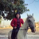 ���������� �������, ���� ������� ����, 30 ���, ������������ ��� ������, ����� � ���������, c�������� ���������, ���������