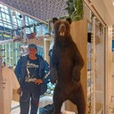 ���������� ����������, ���� ������� �������, 43 ����, ������������ ��� ������, ����� � ���������, c�������� ���������