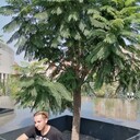 ���������� �������, ���� ������� ��, 26 ���, ������������ ��� ������, ����� � ���������