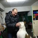  ,   , 51 ,   c 
