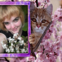 ���������� �������, ���� ������� ������, 42 ����, ������������ ��� ������, ����� � ���������, c�������� ���������