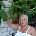  ,   , 65 ,     , c 