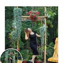 ���������� �����������, ���� ������� �������, 36 ���, ������������ ��� ������, ����� � ���������, c�������� ���������