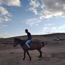  ,   , 36 ,   ,   , c , 