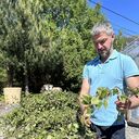 ���������� Forde, ���� ������� �������, 45 ���, ������������ ��� ������, ����� � ���������, c�������� ���������, ���������