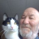  ,   , 86 ,   ,   , c 