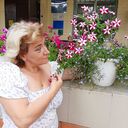  ,   , 53 ,   c , 