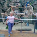  ,   Zanna, 57 ,   c 